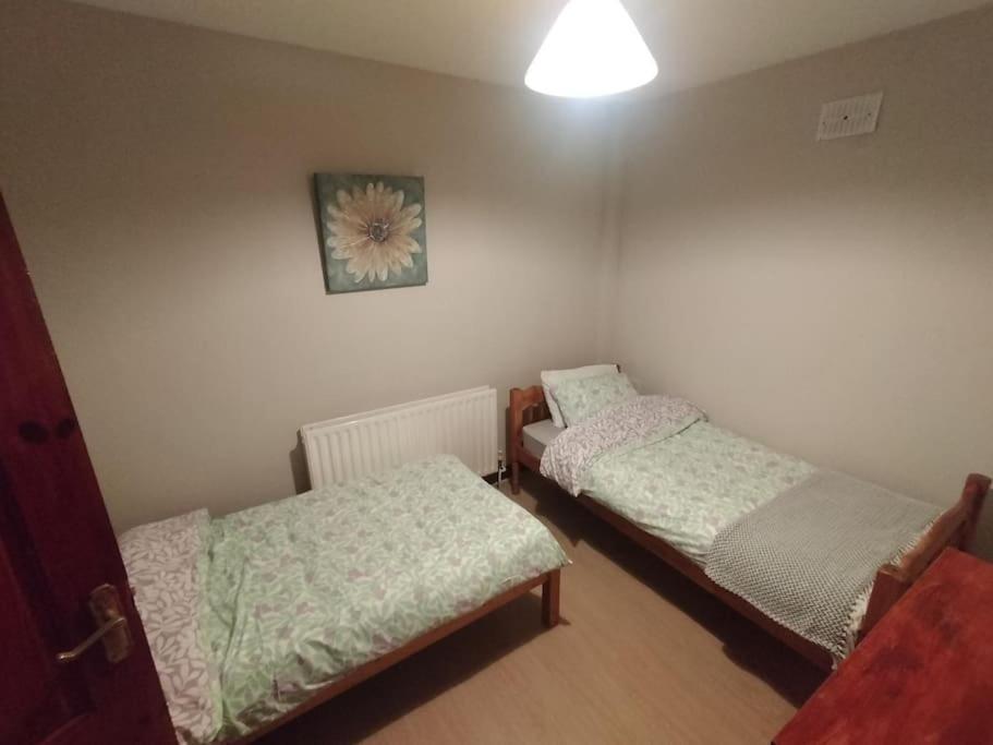 Mountain View Cottage Belfast Bagian luar foto