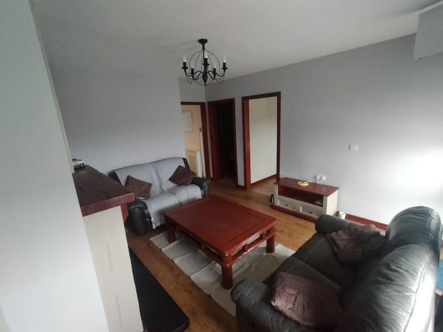 Mountain View Cottage Belfast Bagian luar foto